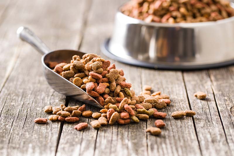 dry-pet-food-2021-08-26-16-25-00-utc