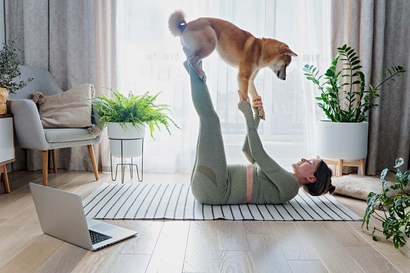 potted-plants-pregnancy-furry-friends-morning-yoga-using-laptop-dog-training-perfect-pets_t20_JJL769